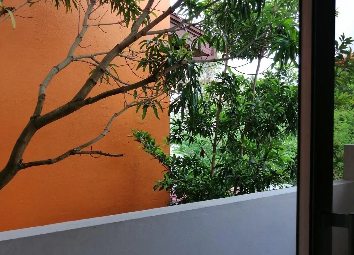 Leo'S Den Villa Katunayake