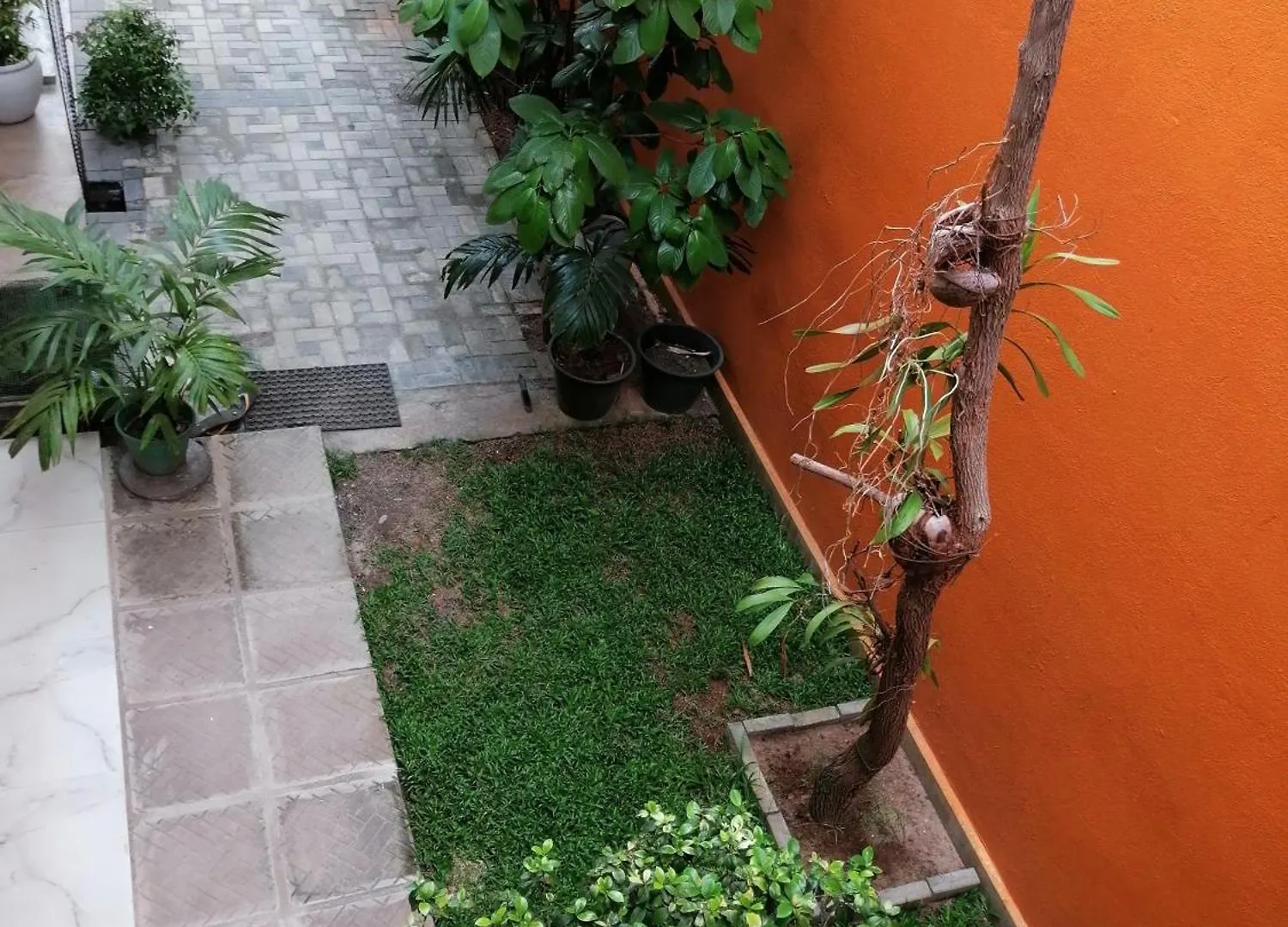 Leo'S Den Villa Katunayake